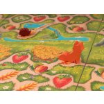 lifestyle-boardgames-hedgehog-roll-and-friends-13-min.jpg