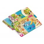 web-detecteamkids-island-box-(6).jpg